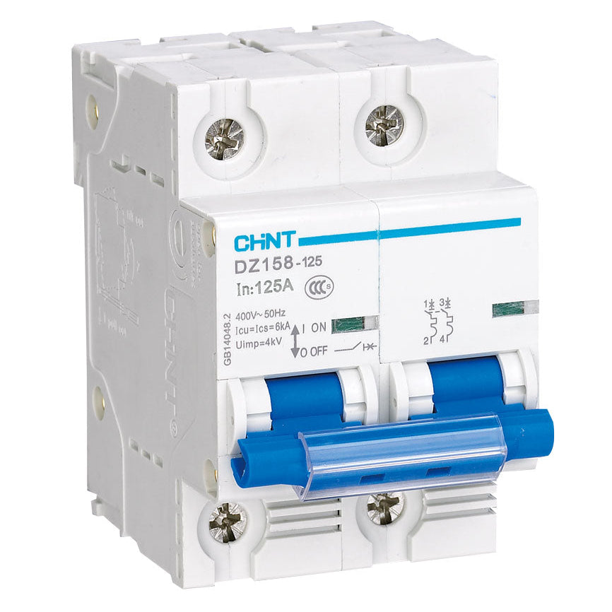 Chint MCBs 6kA 2P 100A Circuit Breaker C Curve AC/DC