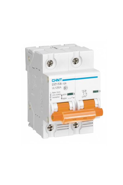 Chint MCBs 6kA 2P 100A Circuit Breaker D Curve AC/DC