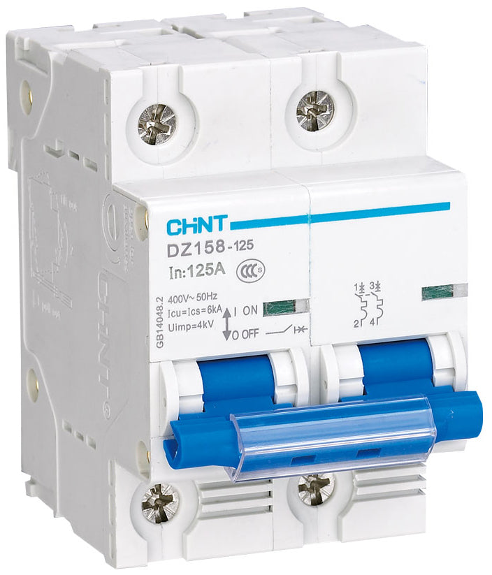 Chint MCBs  6kA 2P 100A Circuit Breaker C Curve AC/DC