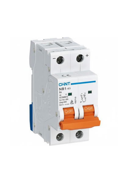 Chint 6kA 2P 10A Circuit Breaker D Curve